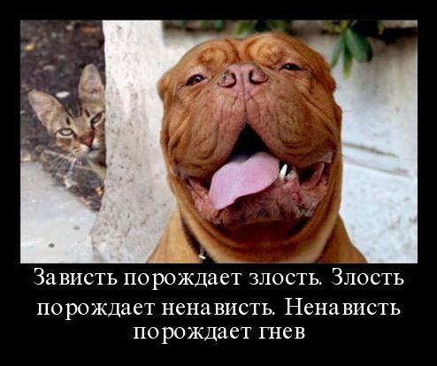 Самые прикольные статусы про врагов и завистников | prikolnye-smeshnye.ru