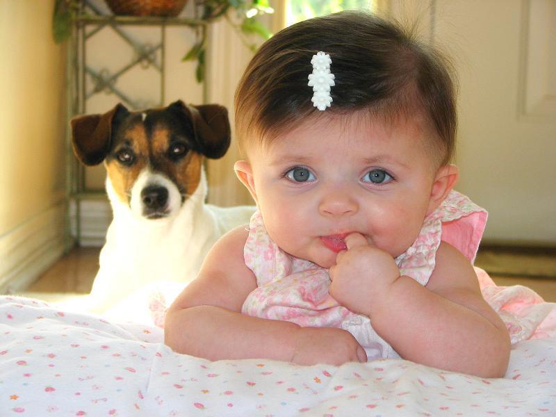 Самые прикольные детские статусы для одноклассников | prikolnye-smeshnye.ru