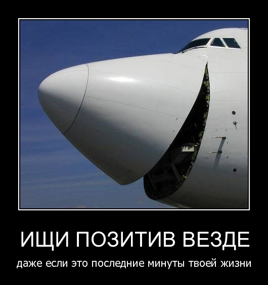 Самые прикольные новенькие статусы | prikolnye-smeshnye.ru