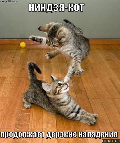 Самые новые и прикольные дерзкие статусы | prikolnye-smeshnye.ru