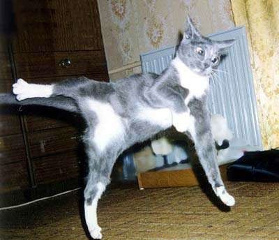 Очень прикольные статусы для одноклассников | prikolnye-smeshnye.ru