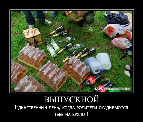 Прикольные статусы про 11 класс | prikolnye-smeshnye.ru