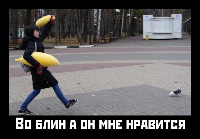 Прикольные статусы он мне нравится | prikolnye-smeshnye.ru