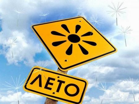 Прикольные статусы про лето | prikolnye-smeshnye.ru