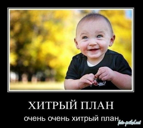 Прикольные статусы на разные темы | prikolnye-smeshnye.ru