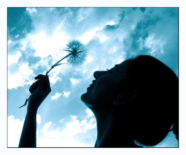 Прикольные статусы про жизнь самые самые | prikolnye-smeshnye.ru