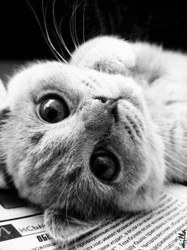 Прикольные и классные статусы | prikolnye-smeshnye.ru