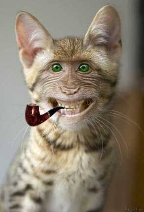 Классные статусы для одноклассников | prikolnye-smeshnye.ru