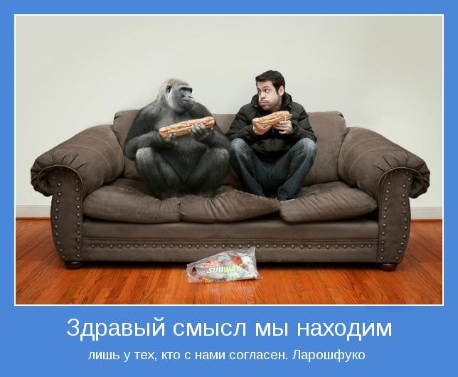 Прикольные статусы со смыслом для девушек | prikolnye-smeshnye.ru