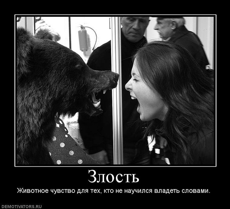 Прикольные и злые статусы для девушек | prikolnye-smeshnye.ru