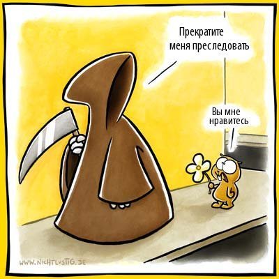 Прикольные статусы в контакте | prikolnye-smeshnye.ru