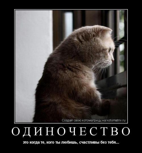 Статусы про одиночество | prikolnye-smeshnye.ru