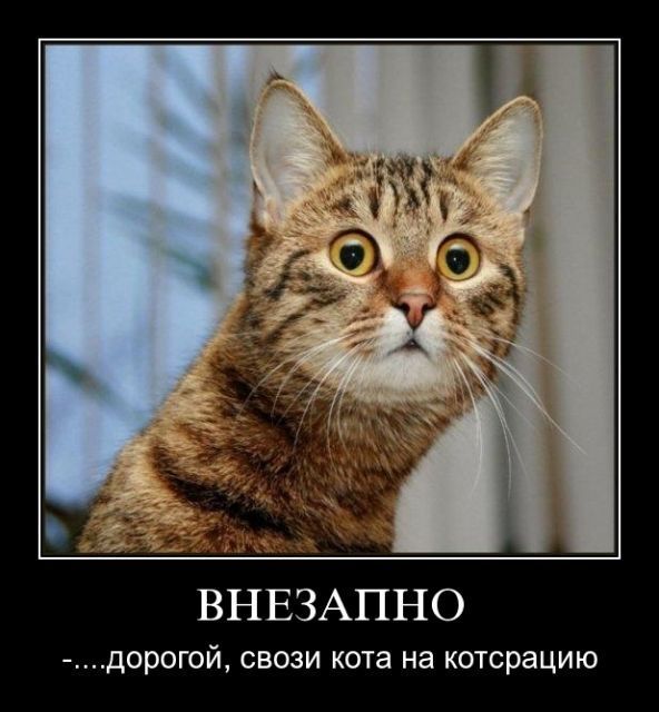 Прикольные статусы для одноклассников | prikolnye-smeshnye.ru