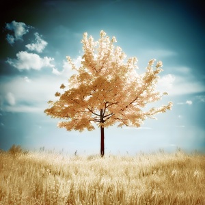 Прикольные статусы про жизнь | prikolnye-smeshnye.ru