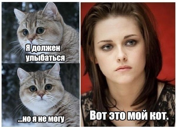 Прикольные цитаты и статусы | prikolnye-smeshnye.ru