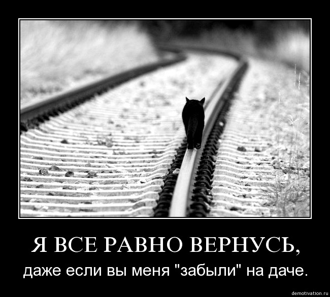 Прикольные статусы мне пофиг | prikolnye-smeshnye.ru