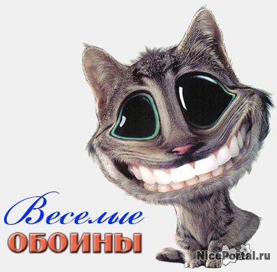 Новые веселые статусы  | prikolnye-smeshnye.ru