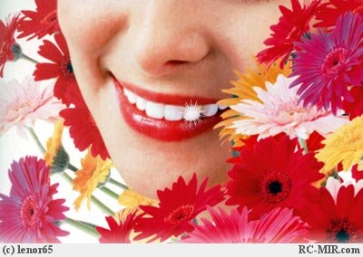 Прикольные статусы про улыбку | prikolnye-smeshnye.ru