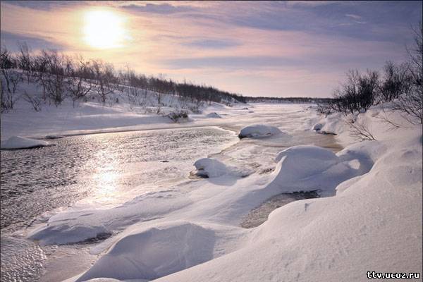 Прикольные статусы про февраль | prikolnye-smeshnye.ru