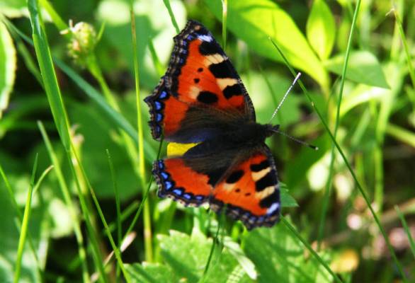 Прикольные статусы про июнь | prikolnye-smeshnye.ru