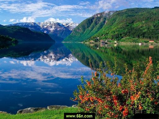 Прикольные статусы про природу | prikolnye-smeshnye.ru