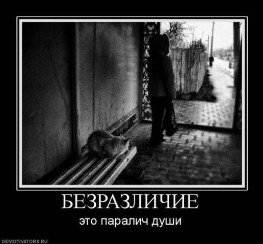 Прикольные статусы про равнодушие | prikolnye-smeshnye.ru