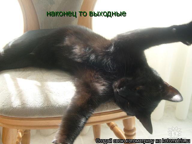 Прикольные статусы про выходные | prikolnye-smeshnye.ru