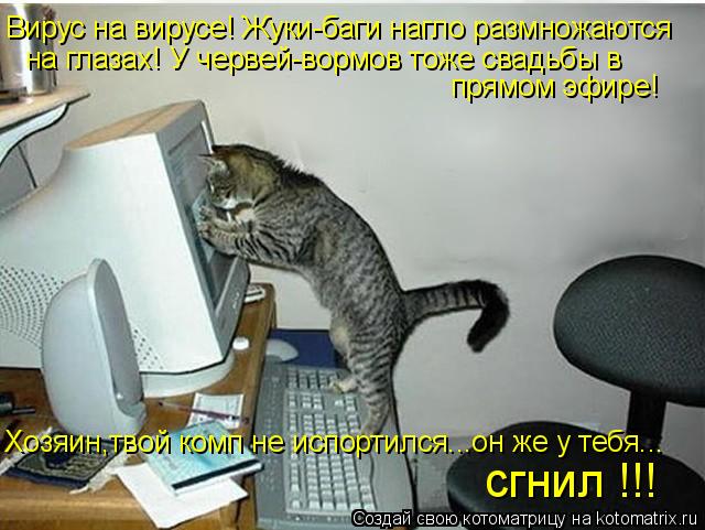 Прикольные ржачные статусы до слез | prikolnye-smeshnye.ru