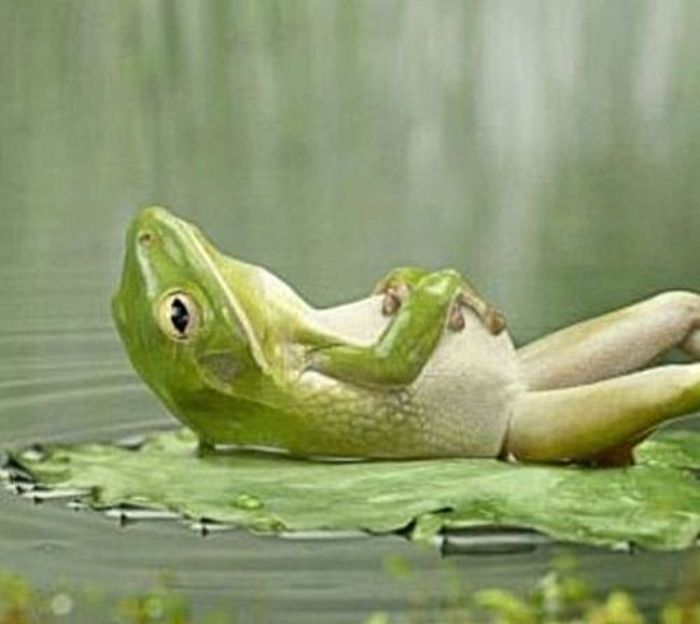 Красивые статусы скучно для вконтакте