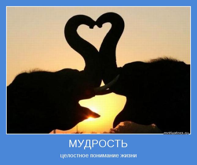 Прикольные статусы про мудрость | prikolnye-smeshnye.ru