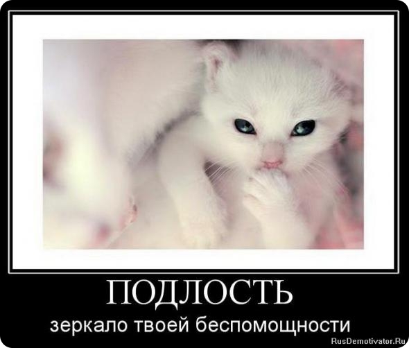 Прикольные статусы про подлость | prikolnye-smeshnye.ru