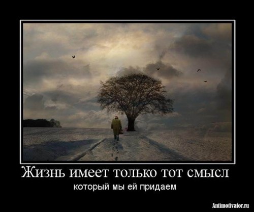 Прикольные статусы про жизнь со смыслом | prikolnye-smeshnye.ru