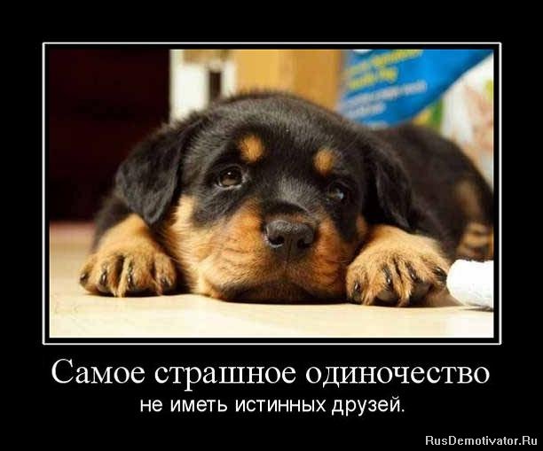 Прикольные статусы про друзей со смыслом | prikolnye-smeshnye.ru