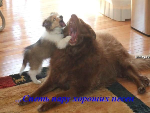 Прикольные статусы про друзей | prikolnye-smeshnye.ru