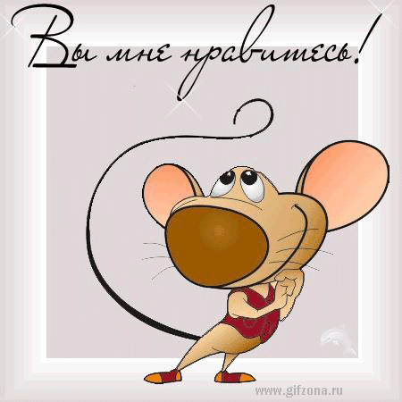 Красивые статусы признание любви для вконтакте