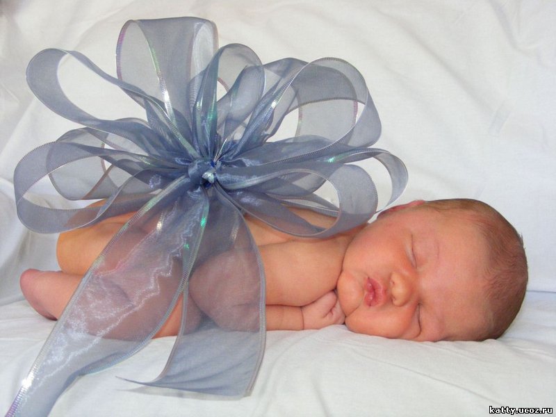 Прикольные статусы про моду | prikolnye-smeshnye.ru