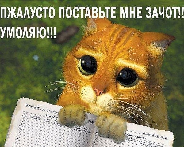 Прикольные статусы про госы | prikolnye-smeshnye.ru