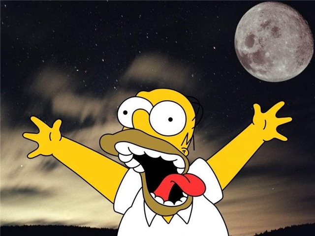 Прикольные статусы про тупых людей | prikolnye-smeshnye.ru