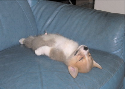 Красивые статусы про субботу для вконтакте