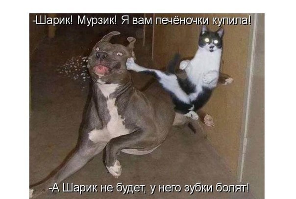 Красивые самые короткие статусы для вконтакте